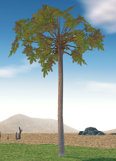 Mabinogi Harmonious Desert Tree 1