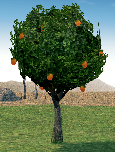 Mabinogi Homestead Harmonious Orange Tree