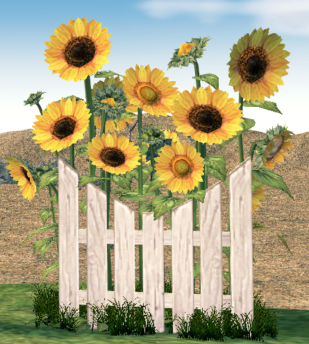 Mabinogi Homestead Sunflower Fence