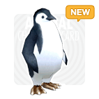 item_animal_adeliepenguin_new.gif