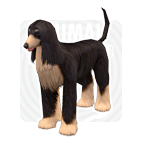 item_animal_afghanhound.gif