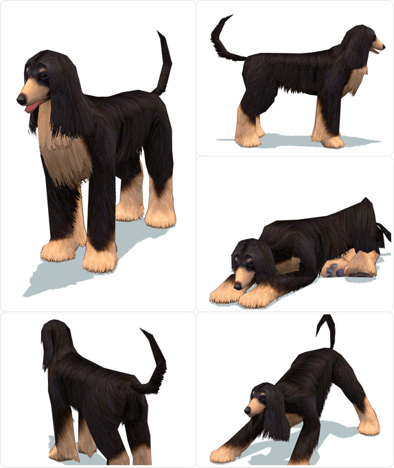 item_animal_afghanhound_001.gif