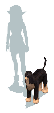 item_animal_afghanhound_scale.gif