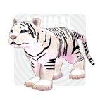 item_animal_babywhitetiger.gif