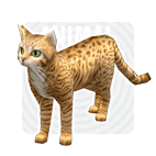 item_animal_bengal.gif