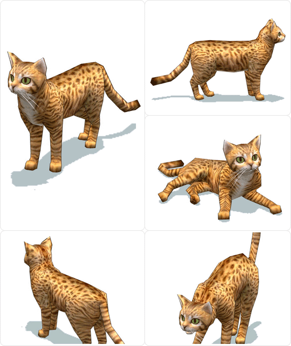 item_animal_bengal_001.gif