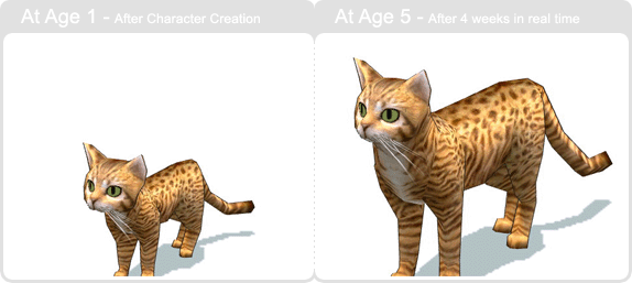 item_animal_bengal_002.gif