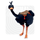 item_animal_blackcottonostrich.gif