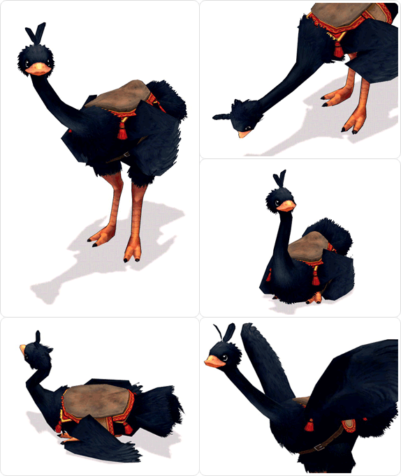 item_animal_blackcottonostrich_001.gif