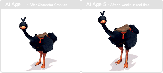 item_animal_blackcottonostrich_002.gif