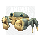 item_animal_blackmudcrab.gif