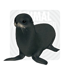 item_animal_blackseal.gif