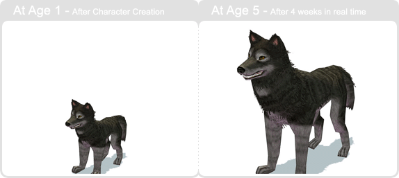 item_animal_blackwolf_002.gif