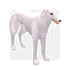 item_animal_borzoi.gif