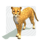 item_animal_cheetahpet.gif