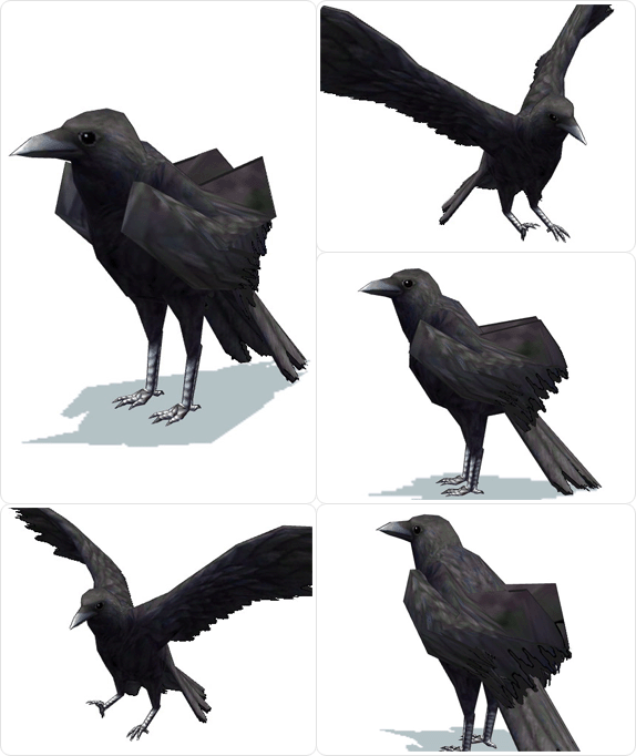 item_animal_crow_001.gif