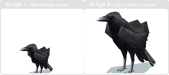 item_animal_crow_002.gif