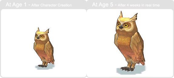 item_animal_eagleowl_002.gif