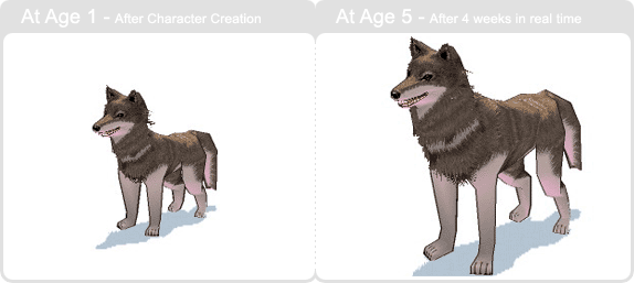 item_animal_graywolf_002.gif