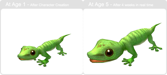 item_animal_greengecko_002.gif