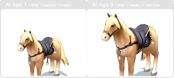 item_animal_haflinger_002.gif