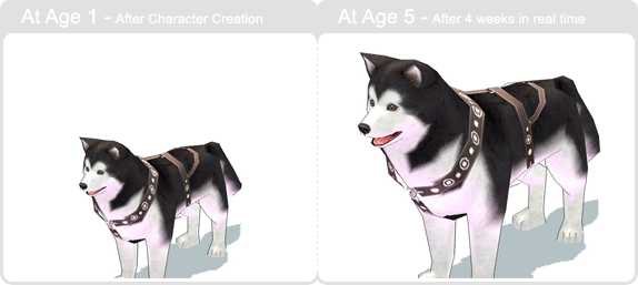 item_animal_malamute_002.gif