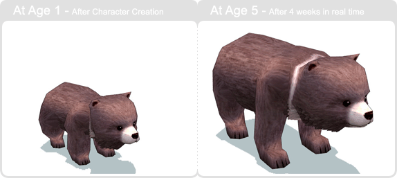 item_animal_minibear_002.gif