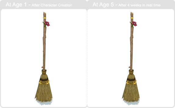 item_animal_oakmagicbroom_002.gif