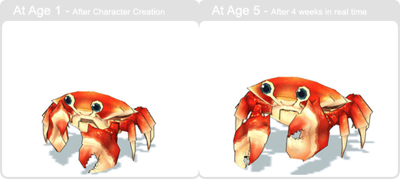 item_animal_redrockcrab_002.gif