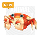 item_animal_redrockcrab_new.gif