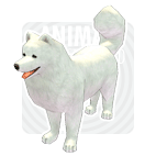 item_animal_samoyed.gif