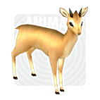 item_animal_shorthornedantelope.gif