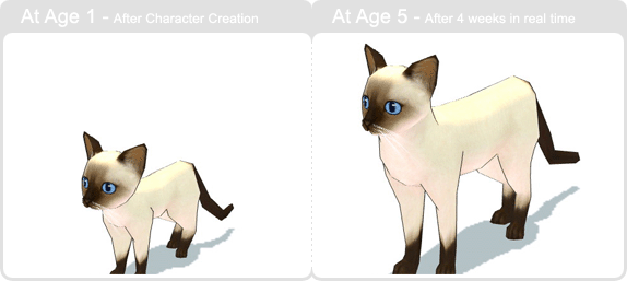 item_animal_siamese_002.gif