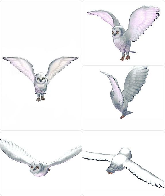 item_animal_snowyowl_001.gif