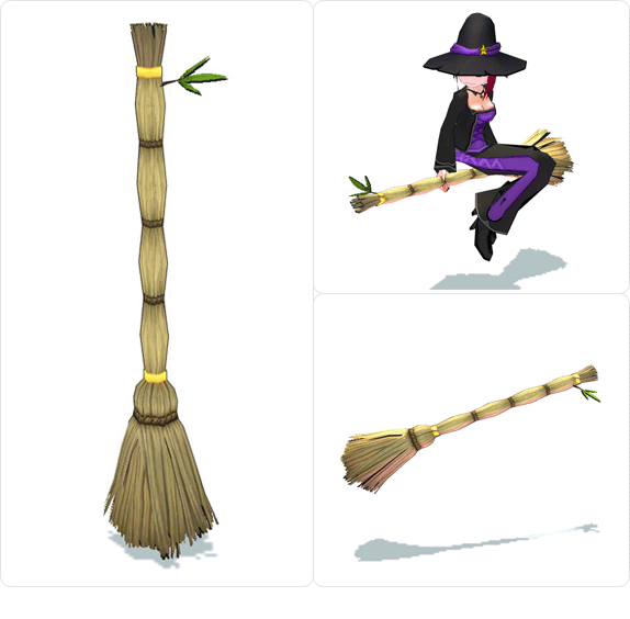 item_animal_strawmagicbroom_001.gif