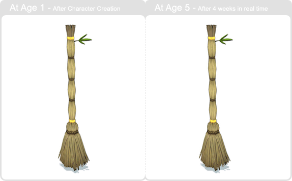 item_animal_strawmagicbroom_002.gif