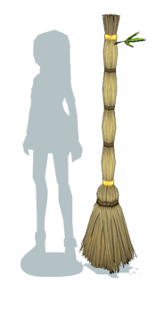 item_animal_strawmagicbroom_scale.gif