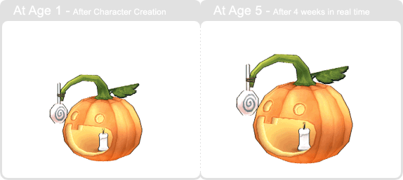 item_animal_treat_pumpkin_002.gif