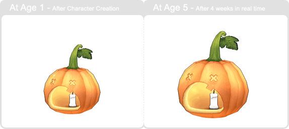 item_animal_trick_pumpkin_002.gif