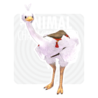 item_animal_whitecottonostrich.gif