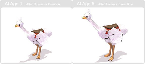 item_animal_whitecottonostrich_002.gif