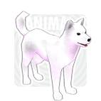 item_animal_whitejindo.gif