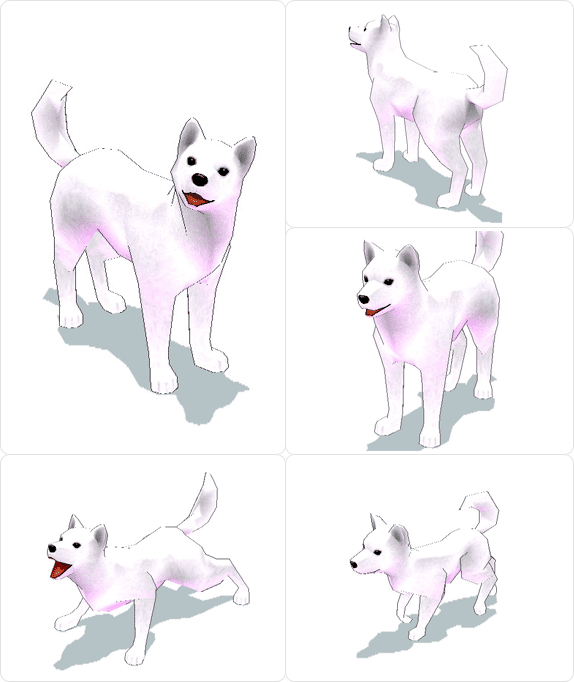 item_animal_whitejindo_001.gif