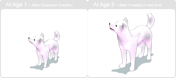 item_animal_whitejindo_002.gif