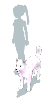 item_animal_whitejindo_scale.gif