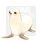 item_animal_whiteseal.gif