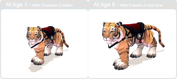 item_animal_yellow_tiger_002.gif