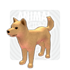 item_animal_yellowjindo.gif