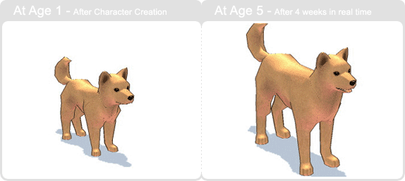 item_animal_yellowjindo_002.gif