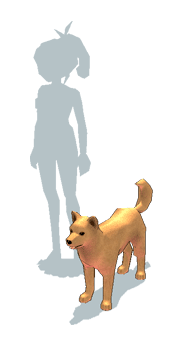 item_animal_yellowjindo_scale.gif